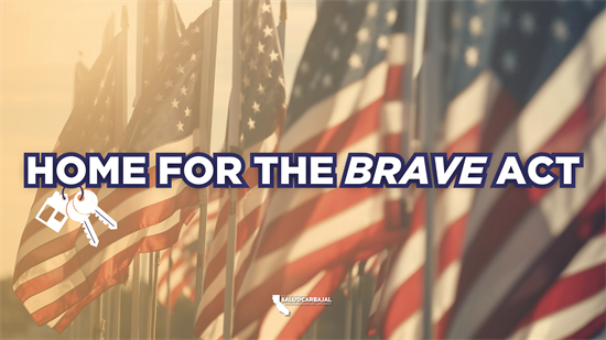 Home for the Brave